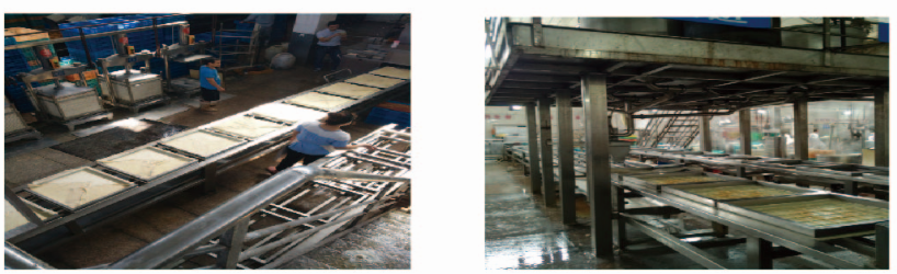 CT-ZDDG-450 Medium-Scale Automatic Dried Tofu Production Line
