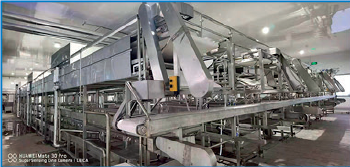 HWYS-1278 Automatic Thin Tofu Skin Machine | High-Efficiency Yuba Production Line