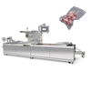 DZDL-320 Automatic Stretch Film Vacuum Packaging Machine | High-Speed, FDA Compliant 