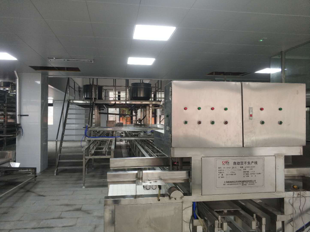 CT-ZDDG-450 Medium-Scale Automatic Dried Tofu Production Line