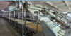 HWYS-1278 Automatic Thin Tofu Skin Machine | High-Efficiency Yuba Production Line