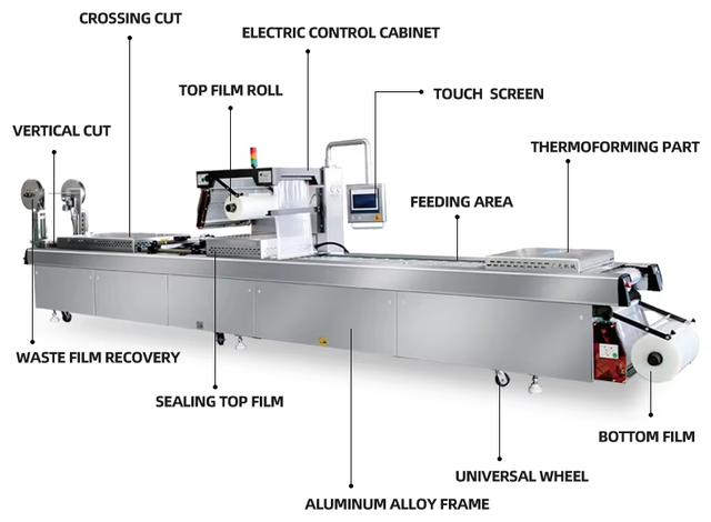 DZDL-320 Automatic Stretch Film Vacuum Packaging Machine | High-Speed, FDA Compliant 