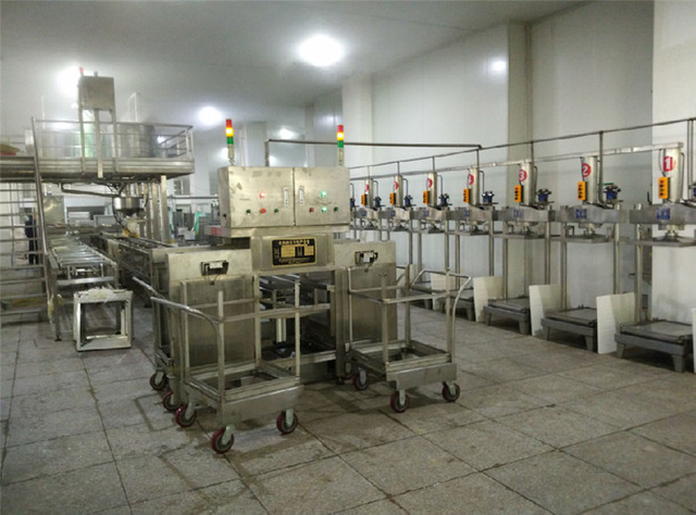 CT-ZDDG-450 Medium-Scale Automatic Dried Tofu Production Line
