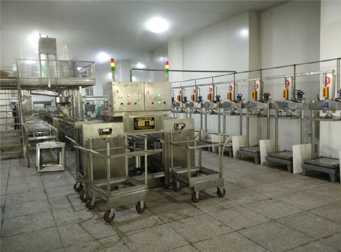 CT-ZDDG-450 Medium-Scale Automatic Dried Tofu Production Line