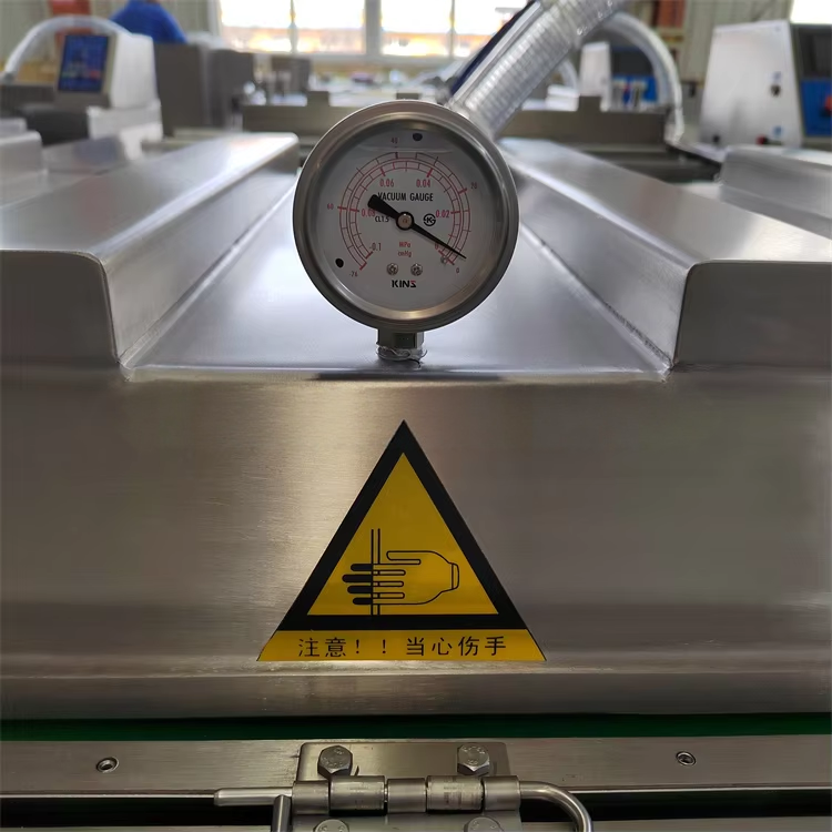 Continuous Belt Vacuum Packaging Machine High-Speed Industrial Packaging Solution