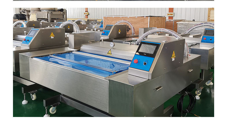 DZD-1000-550 Full Computer-Controlled Vertical Lifting Continuous Belt-Type Vacuum Packaging Machine