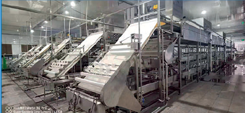 HWYS-1278 Automatic Thin Tofu Skin Machine | High-Efficiency Yuba Production Line